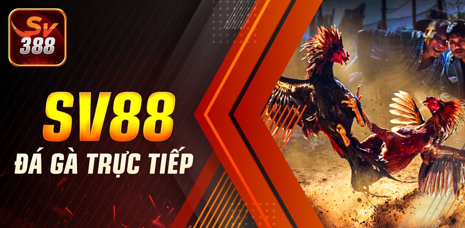 Giới thiệu SV388 - Nền tảng giải trí đáng khám phá